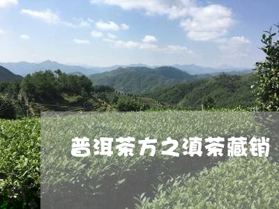 普洱茶方之滇茶藏销/2023062113603