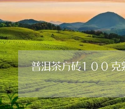 普洱茶方砖100克熟茶/2023102483028