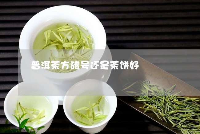 普洱茶方砖号还是茶饼好/2023122086358