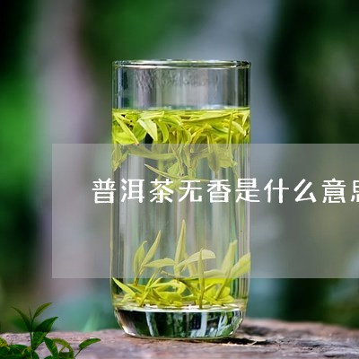 普洱茶无香是什么意思/2023072135158