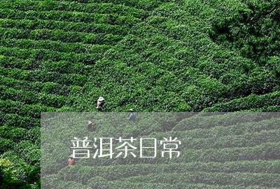 普洱茶日常/2023090672848