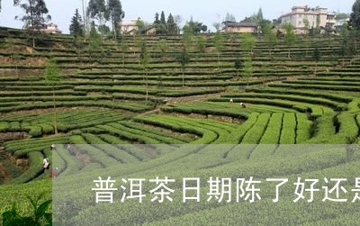 普洱茶日期陈了好还是新的好/2023052752726