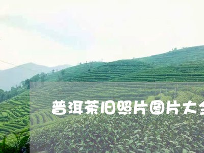 普洱茶旧照片图片大全高清/2023083027068