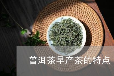 普洱茶早产茶的特点/2023083014250