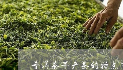 普洱茶早产茶的特点有哪些/2023101025158