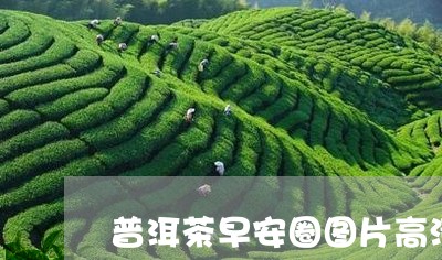 普洱茶早安圈图片高清大图/2023112589482