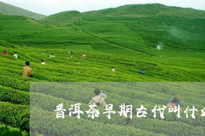 普洱茶早期古代叫什么茶/2023110390495