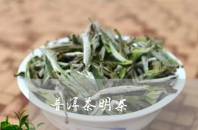 普洱茶明寨/2023102591607