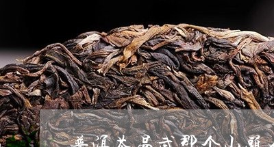 普洱茶易武那个山头好/2023062219481