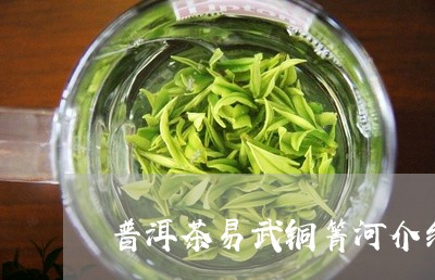 普洱茶易武铜箐河介绍/2023093072017