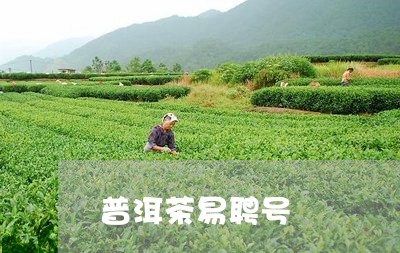 普洱茶易聘号/2023121737382