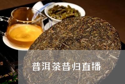 普洱茶昔归直播/2023121799303