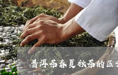 普洱茶春夏秋茶的区分/2023080263613