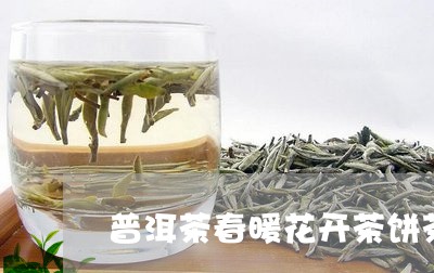 普洱茶春暖花开茶饼茶价/2023081425729