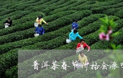 普洱茶春节价格会涨吗/2023120624937