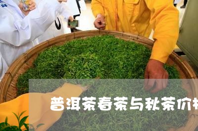 普洱茶春茶与秋茶价格/2023080328270