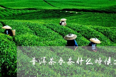 普洱茶春茶什么时候出新茶/2023083046161