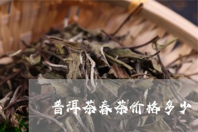 普洱茶春茶价格多少/2023110381504