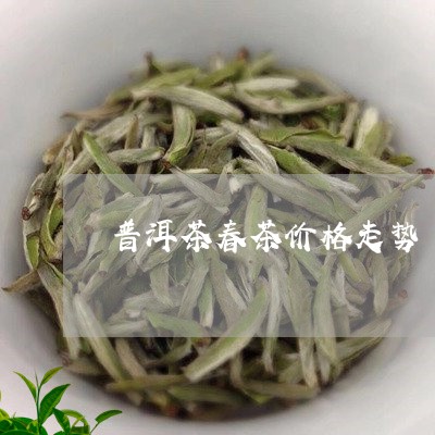 普洱茶春茶价格走势/2023120542494