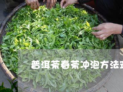 普洱茶春茶冲泡方法窍门/2023082774935