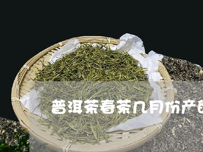 普洱茶春茶几月份产的最好/2023110236289