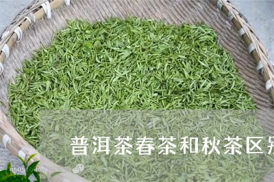 普洱茶春茶和秋茶区别在哪里/2023052917482