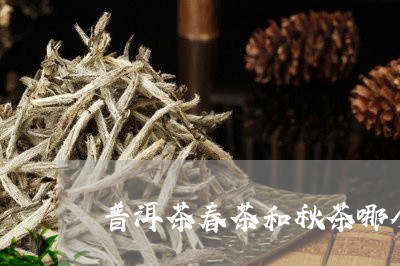 普洱茶春茶和秋茶哪个好喝一点/2023053090725