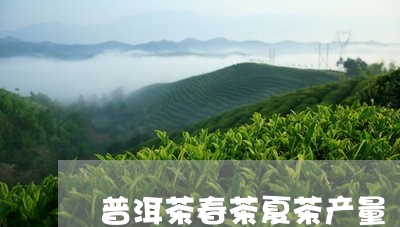 普洱茶春茶夏茶产量/2023091527340