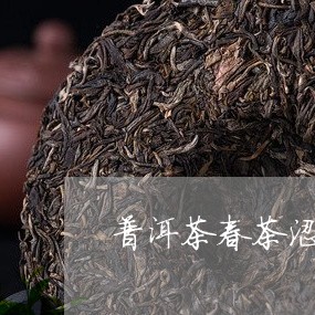 普洱茶春茶涩/2023042633364