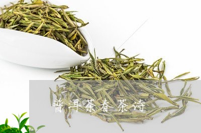 普洱茶春茶诗/2023042720288