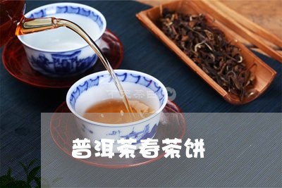 普洱茶春茶饼/2023042759772