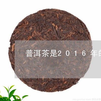 普洱茶是2016年的/2023080261693