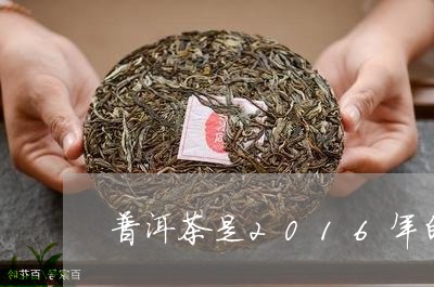 普洱茶是2016年的/2023100666269