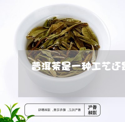 普洱茶是一种工艺还是茶种/2023110240592