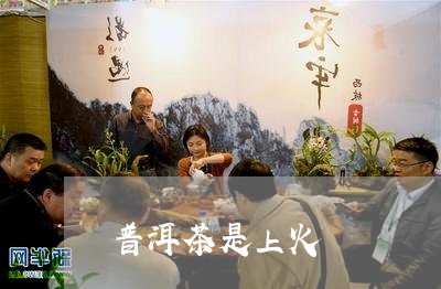 普洱茶是上火/2023042716064