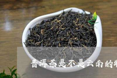 普洱茶是不是云南的特产呢/2023110213868