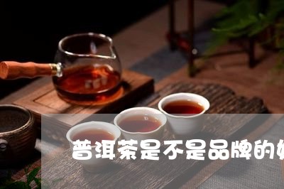 普洱茶是不是品牌的好/2023062349372