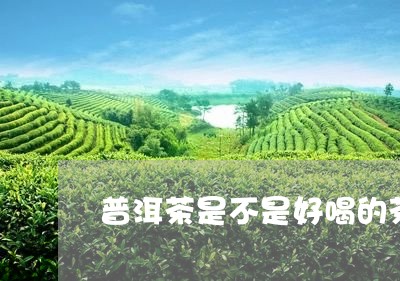 普洱茶是不是好喝的茶叶/2023081421693