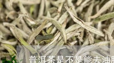 普洱茶是不是能去油脂/2023062760591