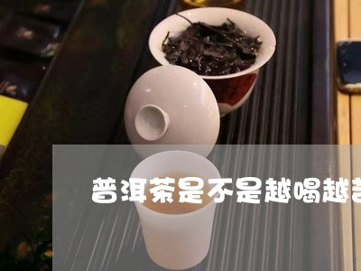 普洱茶是不是越喝越苦/2023092836149