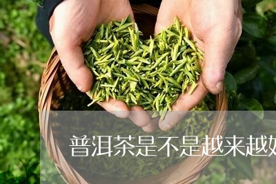 普洱茶是不是越来越好/2023112449380