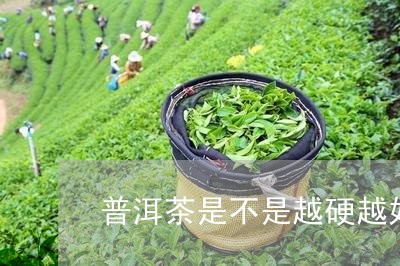 普洱茶是不是越硬越好/2023072404147