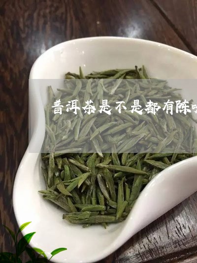 普洱茶是不是都有陈味的/2023102428382