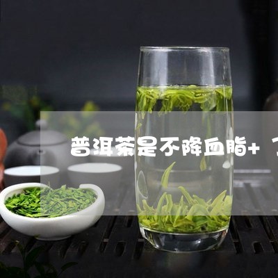 普洱茶是不降血脂+了/2023073040704