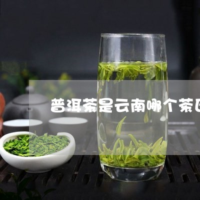 普洱茶是云南哪个茶区/2023100749694