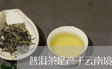 普洱茶是产于云南境内/2023100603946