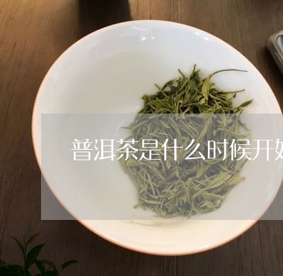 普洱茶是什么时候开始压成饼的/2023053041936