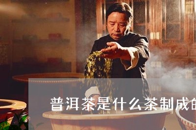 普洱茶是什么茶制成的/2023100794937