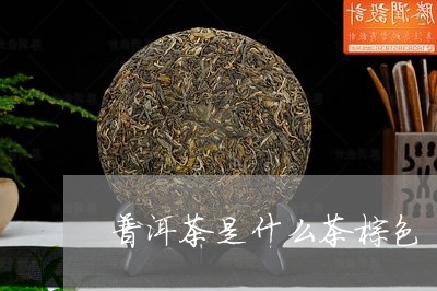 普洱茶是什么茶棕色/2023070935040