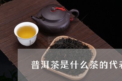 普洱茶是什么茶的代表/2023080320503